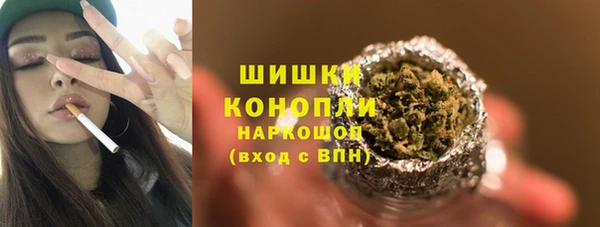 гашик Белокуриха