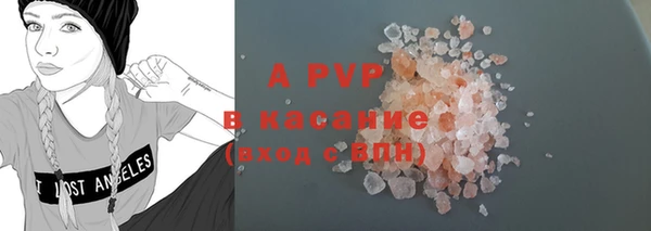 ПСИЛОЦИБИНОВЫЕ ГРИБЫ Белоозёрский